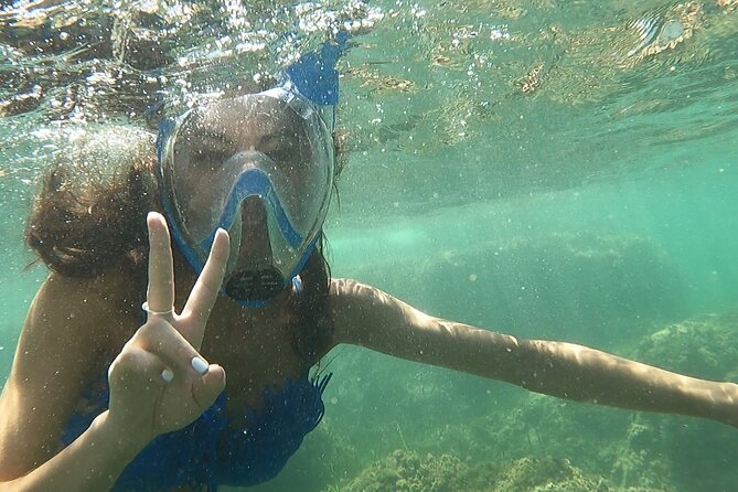Kayak Excursion to Cova Dels Coloms From Platja Mascarat - Excursion Details