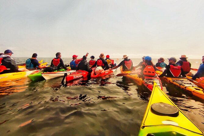 Kayak Excursion to Cova Dels Coloms From Platja Mascarat - Directions