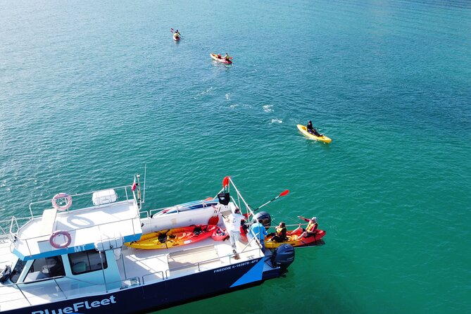 Kayak Experience in Ponta Da Piedade - Additional Information