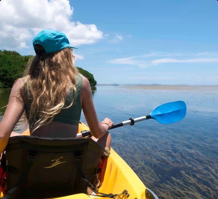 Kayak + Guided Snorkel & Morning Sail - Good To Know