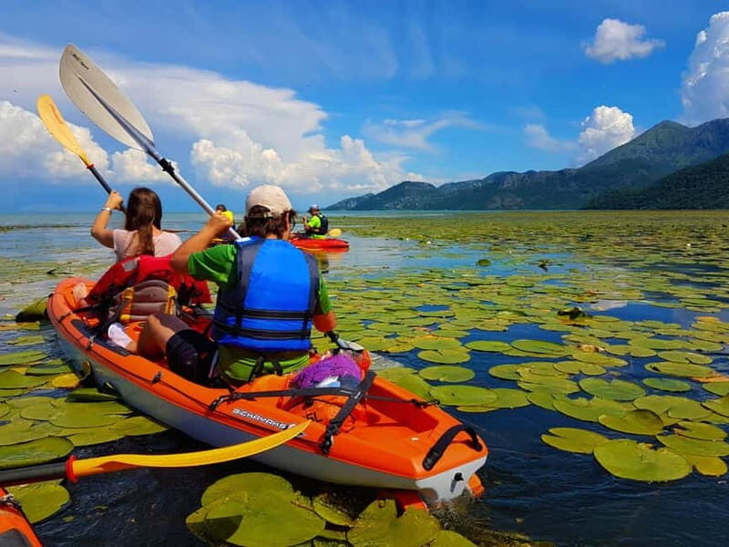 Kayak Guided Tour Skadar lake - Adventure in National park - An In-Depth Look at the Skadar Lake Kayaking Tour