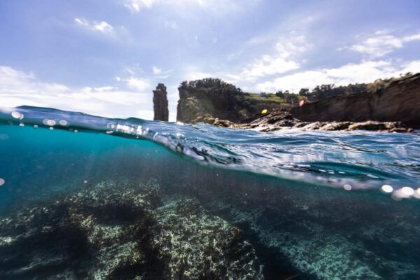 Kayak Guided Tour: Vila Franca Do Campo Islet - Customer Ratings and Feedback