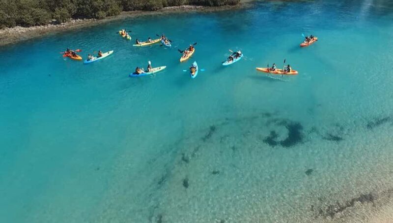 Kayak Hire Batemans Bay - Practical Details and Tips for Your Kayaking Trip