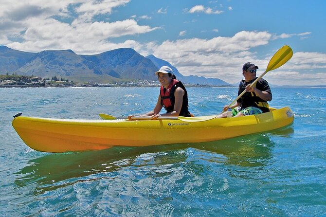 Kayak in Hout Bay - Equipment and Safety Tips
