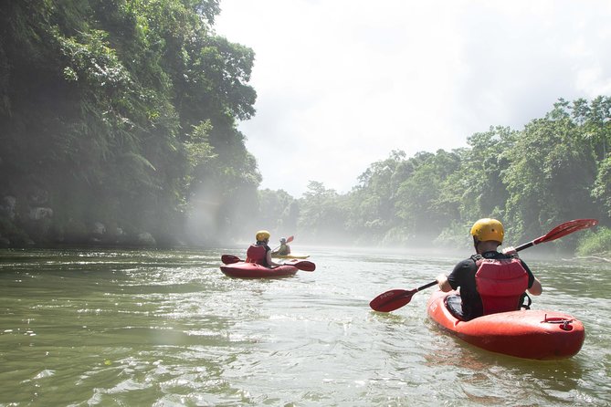 Kayak Jungle Tour - Sarapiqui River - Costa Rica - Tour Highlights