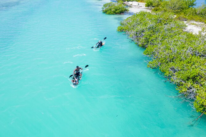 Kayak Mangrove Tours Grand Turk , Carnival Cruise - Tour Highlights