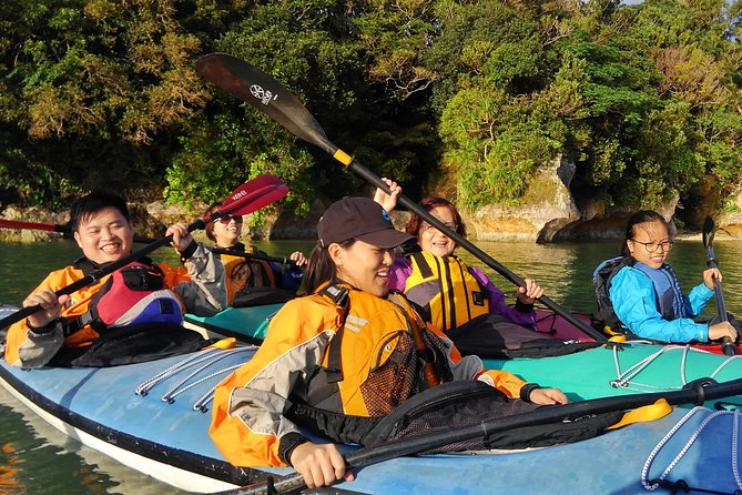 Kayak Mangroves or Coral Reef: Private Tour in North Okinawa - Booking Details