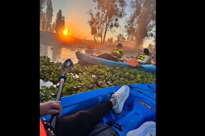 Kayak one more Sunrise Adventure in Xochimilco - Good To Know