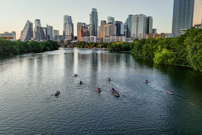 Kayak or Paddle Board Sunset Bat Tour - Good To Know