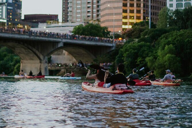 Kayak or Paddle Board Sunset Bat Tour - FAQ