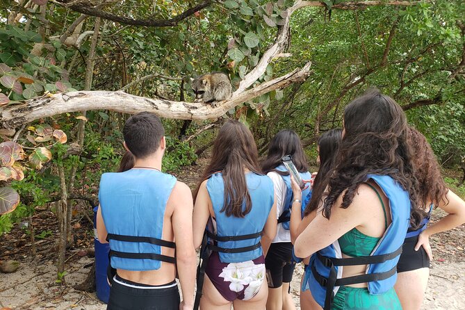 Kayak or Stand up Paddle Board Island and Wildlife Exploration - Tour Highlights and Positive Experiences