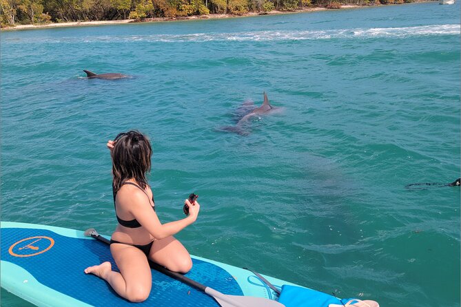 Kayak or Stand up Paddle Board Island and Wildlife Exploration - Mixed Experiences and Recommendations