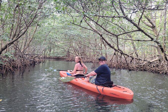 Kayak or Stand up Paddle Board Island and Wildlife Exploration - The Sum Up