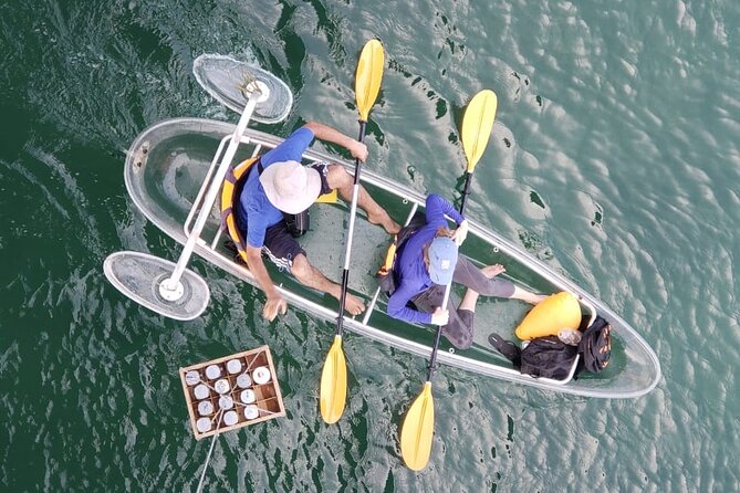 Kayak or Stand Up Paddle in Shkodra Lake and Buna River - Location and Meeting Point