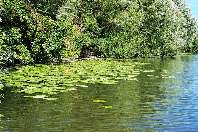 Kayak or SUP Tour on the Water Through Saarbrücken - Safety Guidelines