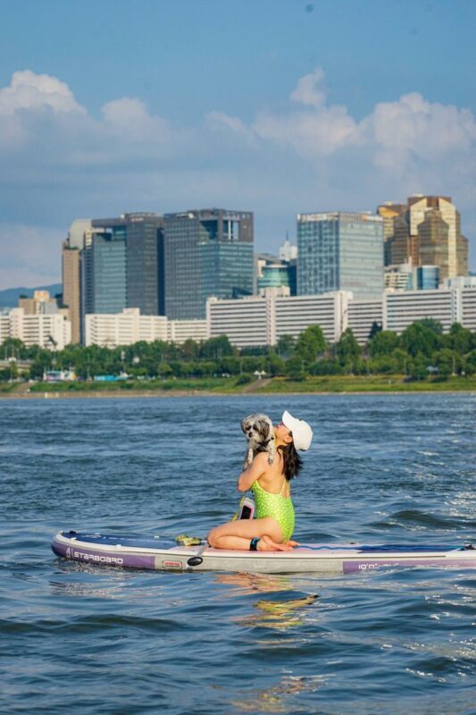 Kayak & Paddleboard Adventure on the Han River in Seoul - Kayak or paddleboard: choose your kind of effort
