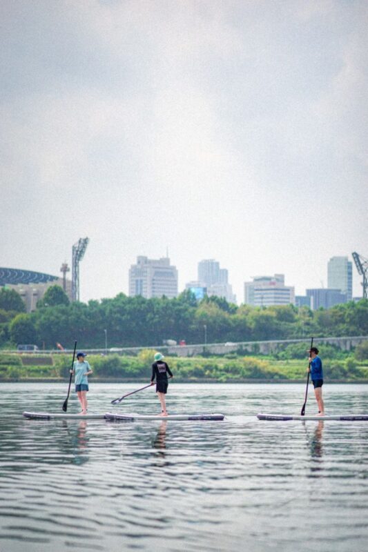 Kayak & Paddleboard Adventure on the Han River in Seoul - How the price compares with the experience