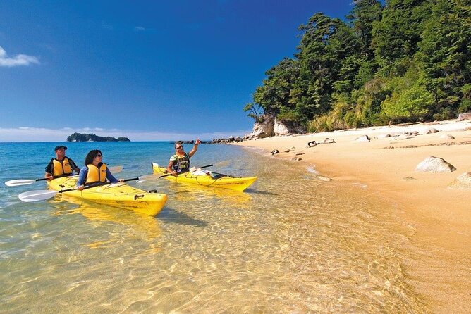 Kayak & Pitt Head Nature Loop - Guided Kayak & Unguided Walk - New Zealand - Duration and Admission