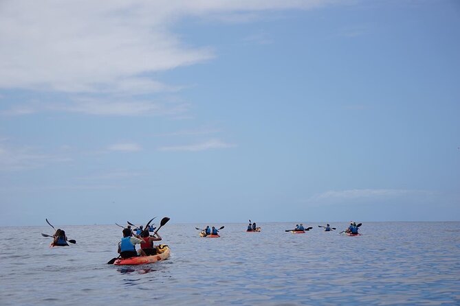 Kayak Safari & Snorkel - Additional Information and Contact