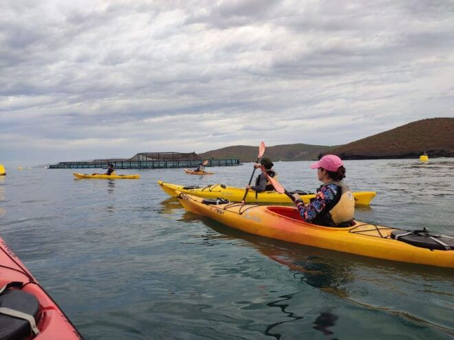 KAYAK SAFARI - Included Amenities