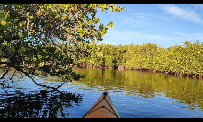 KAYAK SAFARI - Important Notes