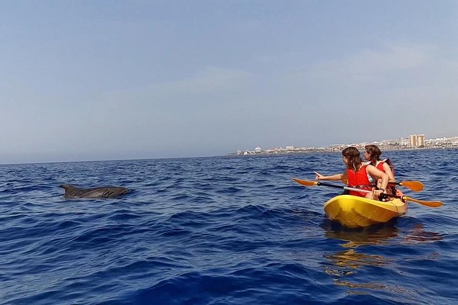 Kayak Safari With Dolphin and Turtle Watching in Guaza - Wildlife Spotting on the Kayak Safari