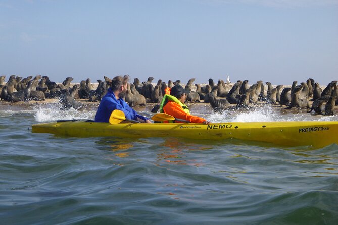 Kayak Sand Combo - Good To Know