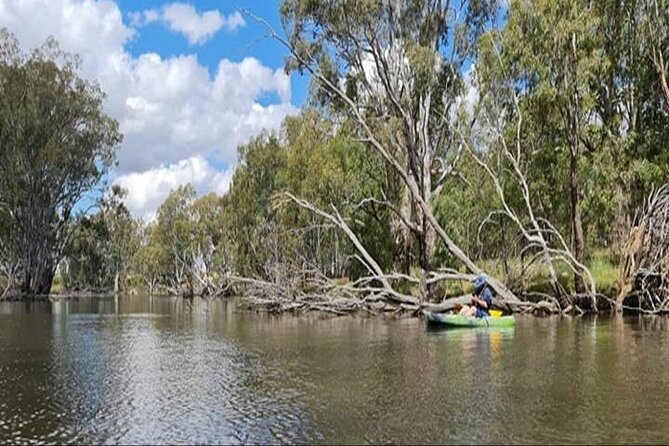 Kayak Self-Guided Tour on the Campaspe River Elmore, 30 Minutes From Bendigo - Recommended Fitness Level and Group Size
