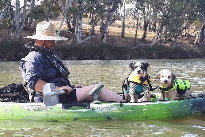 Kayak Self-Guided Tour on the Campaspe River Elmore, 30 Minutes From Bendigo - The Sum Up