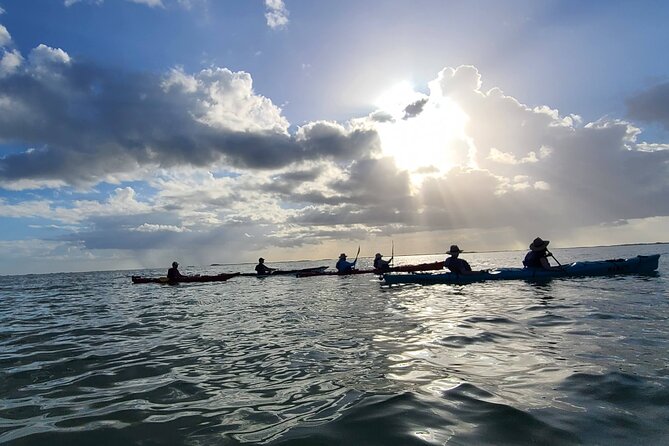 Kayak Sian Ka'an Sunset Tour - Traveler Photos and Reviews