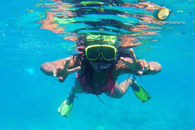 Kayak, Snorkel and Beach Adventure - Price and Value Analysis