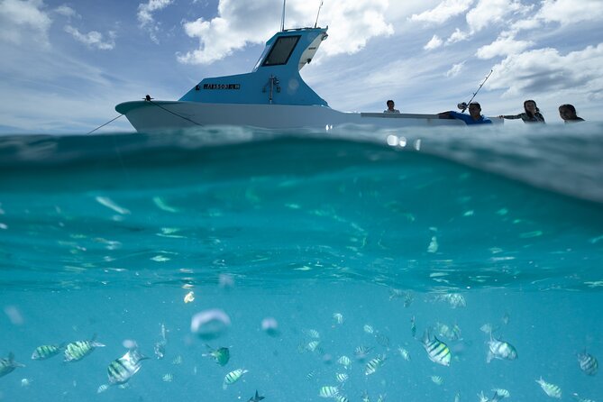 Kayak, Snorkel, and Surf With Turtles in Honolulu - Overview and Activities