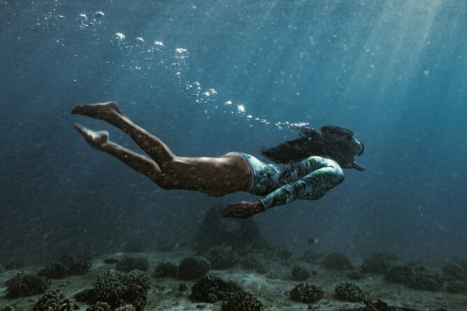 Kayak, Snorkel, and Surf With Turtles in Honolulu - Additional Information
