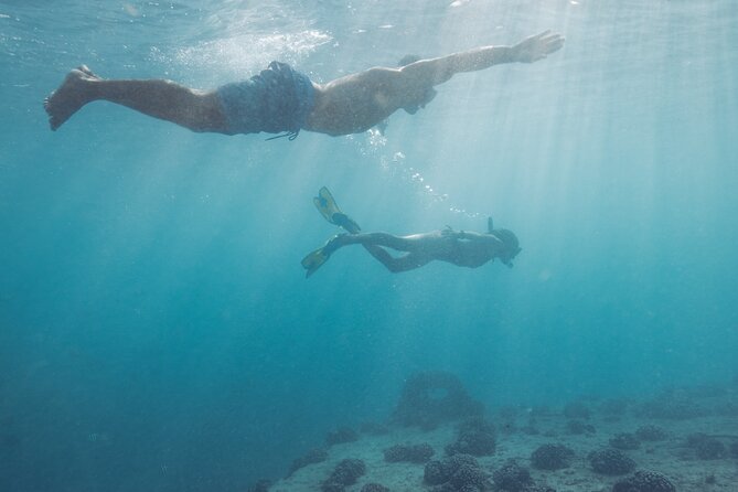 Kayak, Snorkel, and Surf With Turtles in Honolulu - The Sum Up