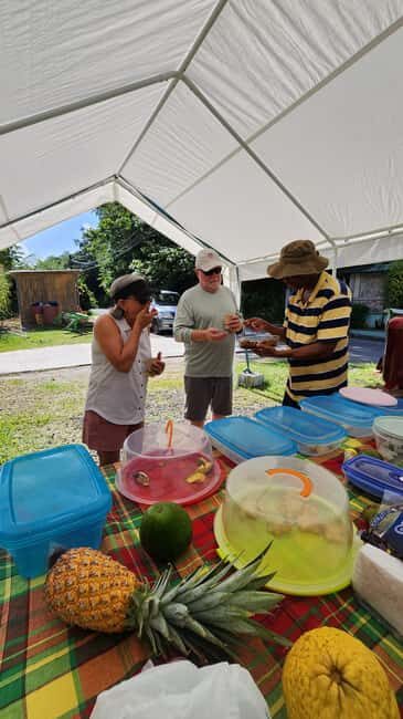 Kayak & Snorkel, Farm, & Hot Springs in Soufriere Volcano - Who Is This Tour Best For?