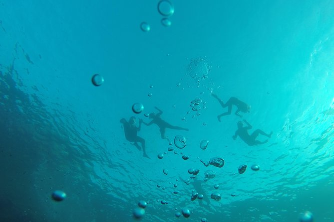 Kayak & Snorkel Ibiza, Spain - Cancellation Policy and Refunds
