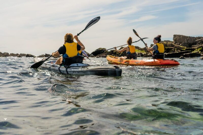 KAYAK & SNORKEL in Hondarribia - Activity Overview