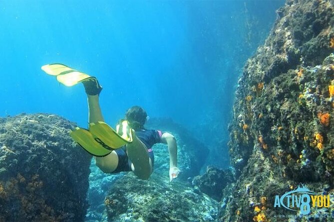 Kayak & Snorkel Tour in Cerro Gordo Natural Park, La Herradura - Tour Details and Pricing
