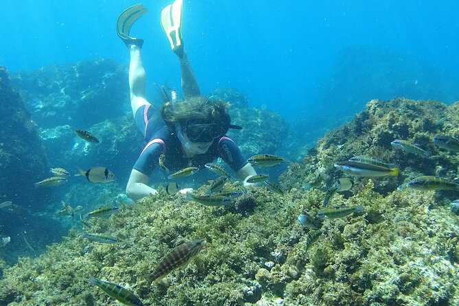 Kayak & Snorkel Tour in Cerro Gordo Natural Park, La Herradura - Booking and Cancellation