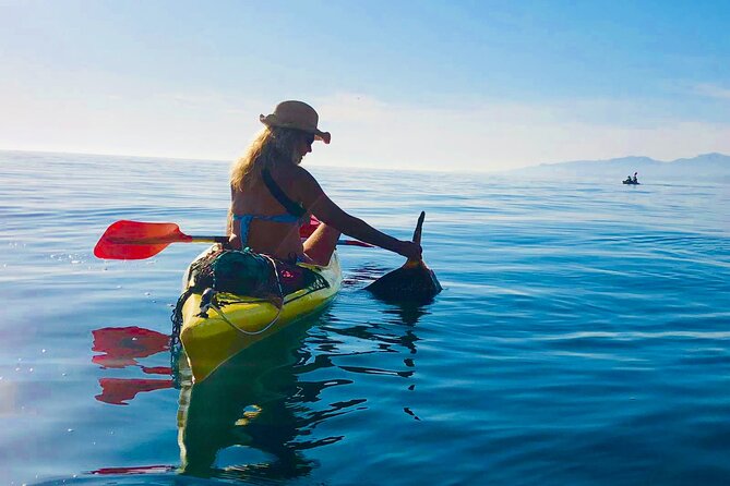 Kayak & Snorkel Tour in Cerro Gordo Natural Park, La Herradura - Customer Experience and Reviews