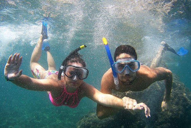 Kayak & Snorkel Tour in Cerro Gordo Natural Park, La Herradura - The Sum Up
