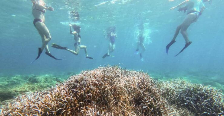 Kayak & Snorkel Tour in the Bay of Sant Elm - Activity Highlights