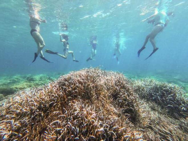 Kayak & Snorkel Tour in the Bay of Sant Elm - Included Equipment