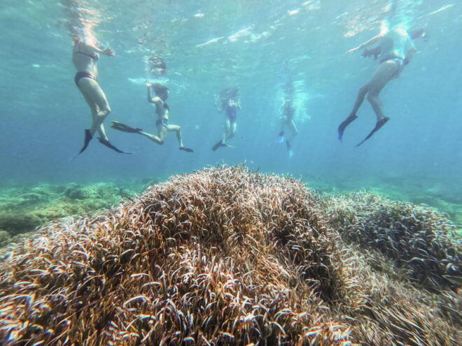 Kayak & Snorkel Tour in the Bay of Sant Elm - Participant Requirements