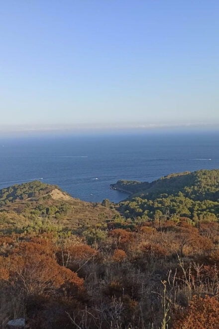 Kayak & Snorkel Tour to Costa Brava - Participant Restrictions