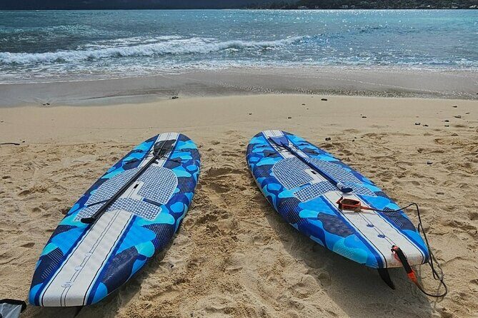 Kayak Stand Up Paddle Board SUP Rental - Real Experiences and Insights
