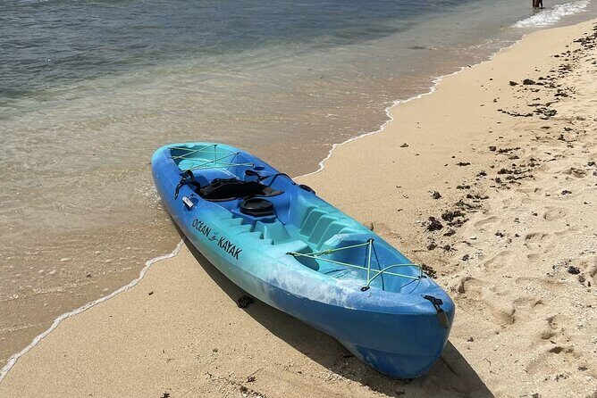 Kayak Stand Up Paddle Board SUP Rental - Value for Money