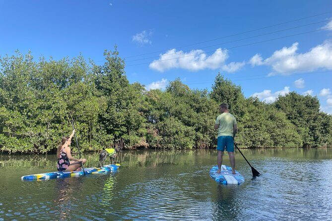 Kayak Stand Up Paddle Board SUP Rental - The Sum Up