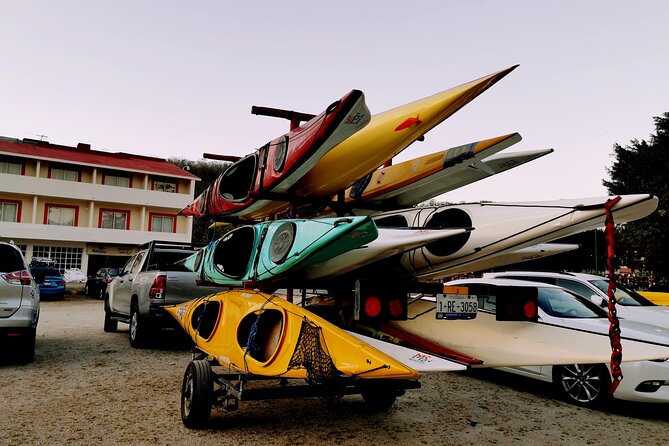 Kayak Sunrise - Starting From .68