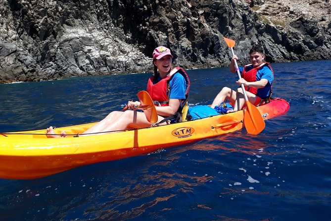 Kayak Tenerife Dolphins and Turtles Experience - Directions